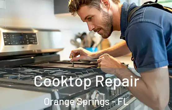  Cooktop Repair Orange Springs - FL