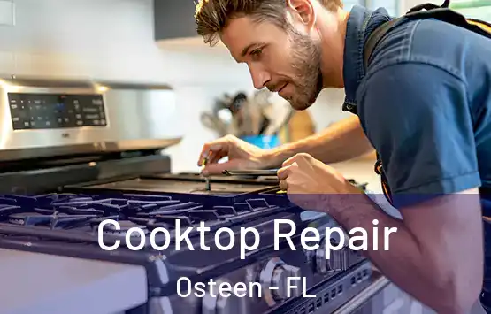  Cooktop Repair Osteen - FL