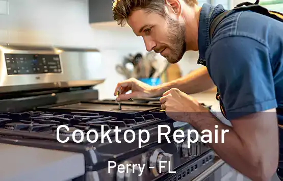  Cooktop Repair Perry - FL
