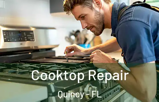  Cooktop Repair Quincy - FL