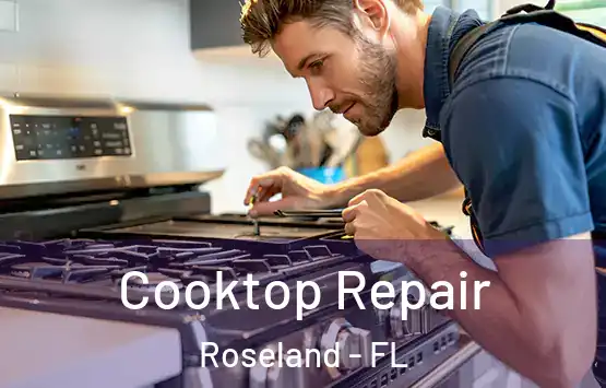  Cooktop Repair Roseland - FL