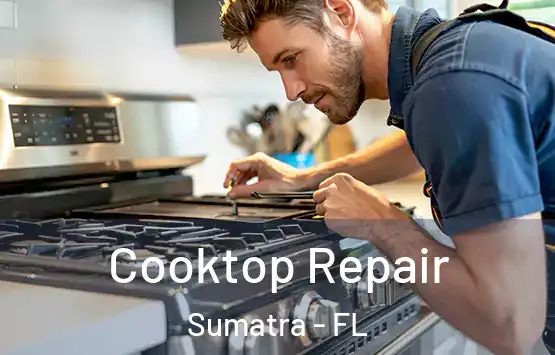  Cooktop Repair Sumatra - FL