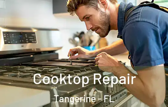  Cooktop Repair Tangerine - FL