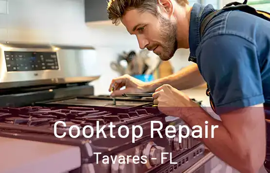  Cooktop Repair Tavares - FL