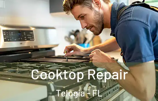  Cooktop Repair Telogia - FL