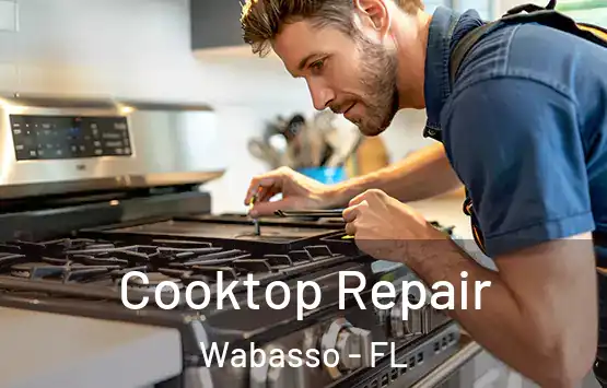  Cooktop Repair Wabasso - FL