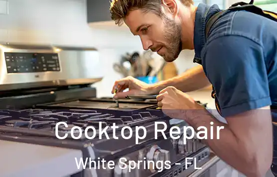  Cooktop Repair White Springs - FL