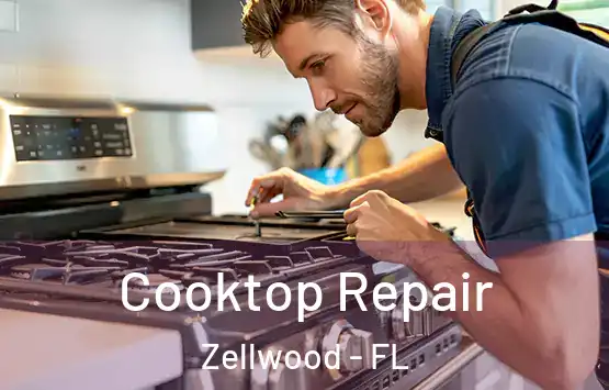  Cooktop Repair Zellwood - FL