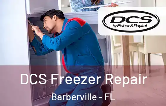  DCS Freezer Repair Barberville - FL