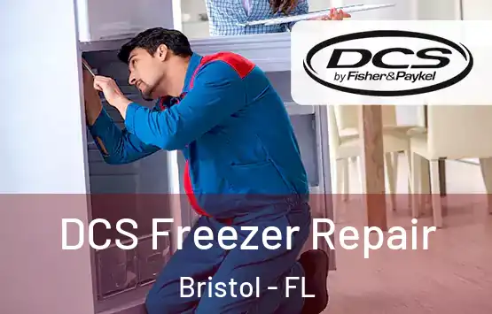  DCS Freezer Repair Bristol - FL