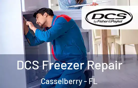  DCS Freezer Repair Casselberry - FL