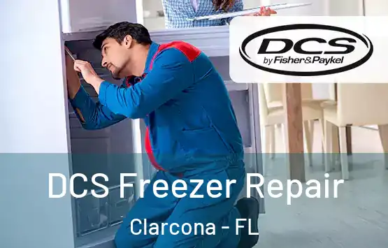  DCS Freezer Repair Clarcona - FL