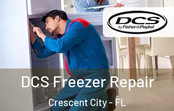  DCS Freezer Repair Crescent City - FL