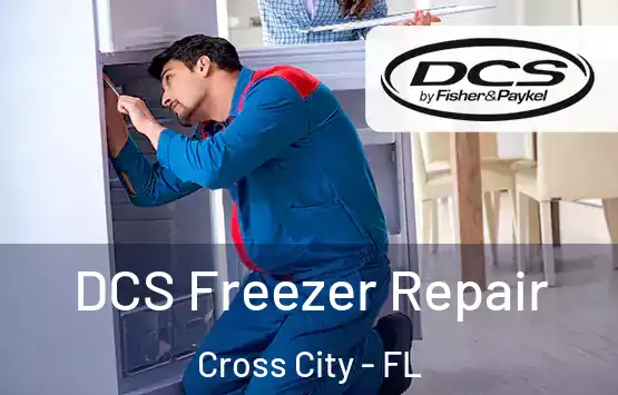  DCS Freezer Repair Cross City - FL