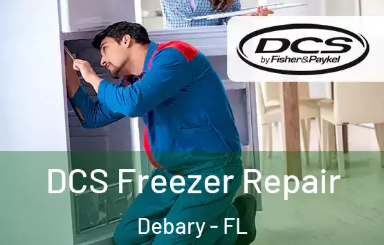  DCS Freezer Repair Debary - FL