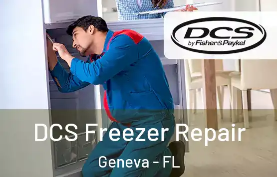  DCS Freezer Repair Geneva - FL