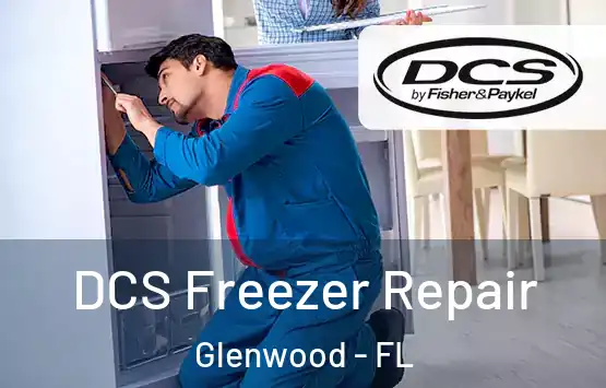  DCS Freezer Repair Glenwood - FL