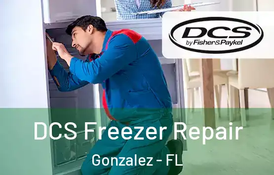  DCS Freezer Repair Gonzalez - FL