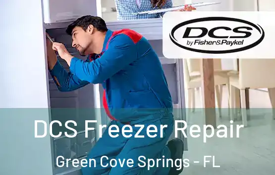  DCS Freezer Repair Green Cove Springs - FL