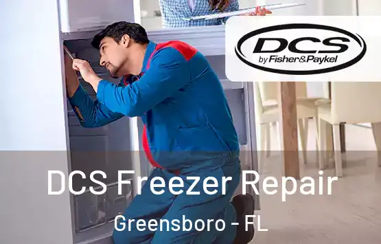  DCS Freezer Repair Greensboro - FL