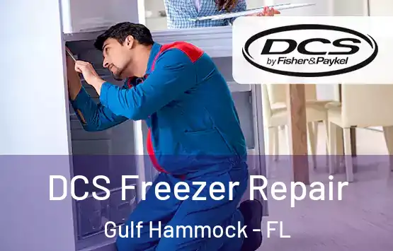  DCS Freezer Repair Gulf Hammock - FL