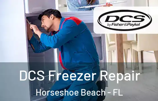 DCS Freezer Repair Horseshoe Beach - FL