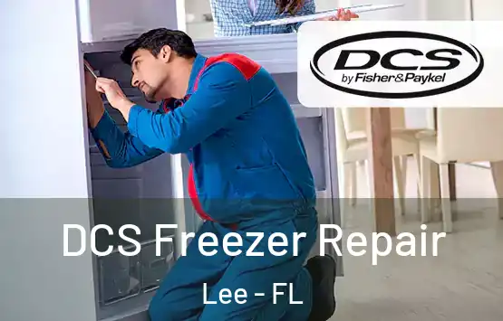  DCS Freezer Repair Lee - FL