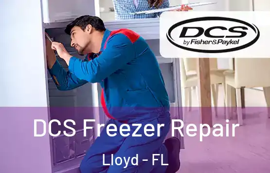  DCS Freezer Repair Lloyd - FL