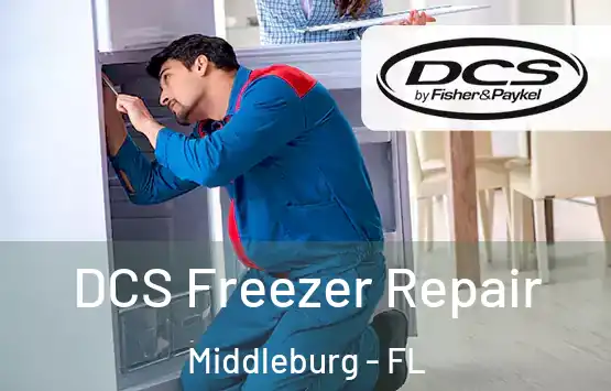  DCS Freezer Repair Middleburg - FL