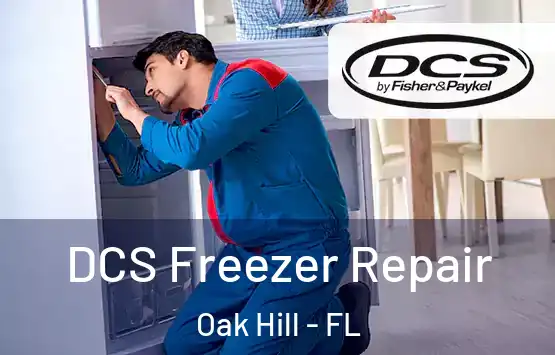  DCS Freezer Repair Oak Hill - FL