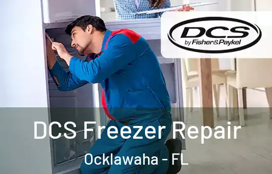  DCS Freezer Repair Ocklawaha - FL