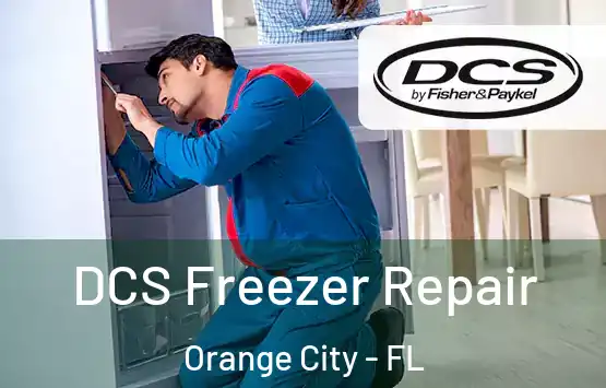  DCS Freezer Repair Orange City - FL