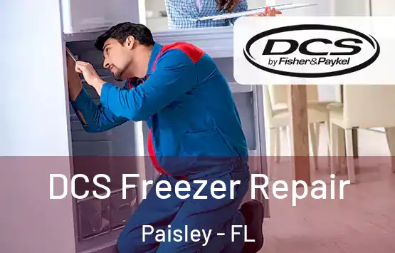  DCS Freezer Repair Paisley - FL