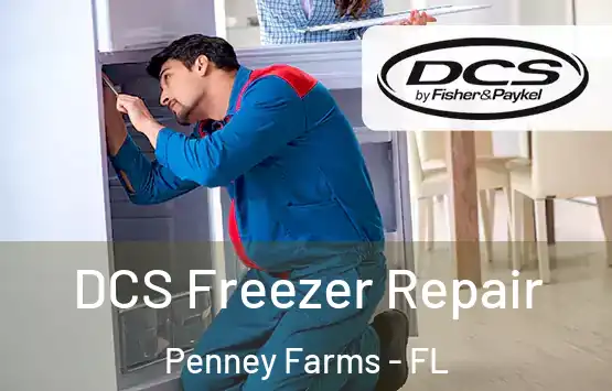  DCS Freezer Repair Penney Farms - FL