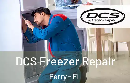  DCS Freezer Repair Perry - FL