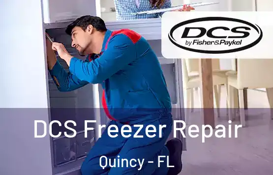  DCS Freezer Repair Quincy - FL