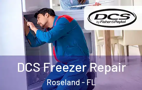  DCS Freezer Repair Roseland - FL
