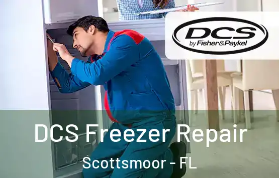  DCS Freezer Repair Scottsmoor - FL