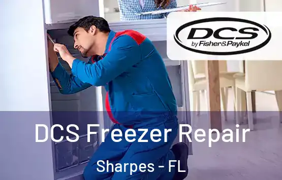  DCS Freezer Repair Sharpes - FL