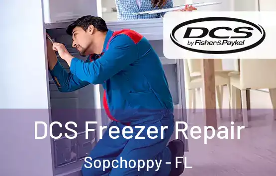  DCS Freezer Repair Sopchoppy - FL