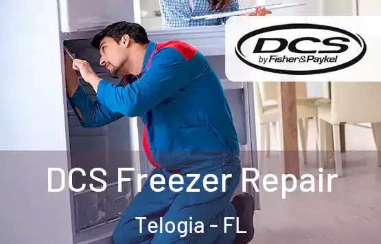  DCS Freezer Repair Telogia - FL
