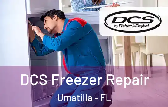  DCS Freezer Repair Umatilla - FL