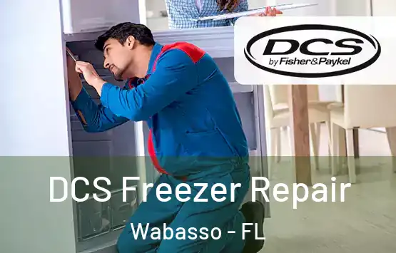  DCS Freezer Repair Wabasso - FL