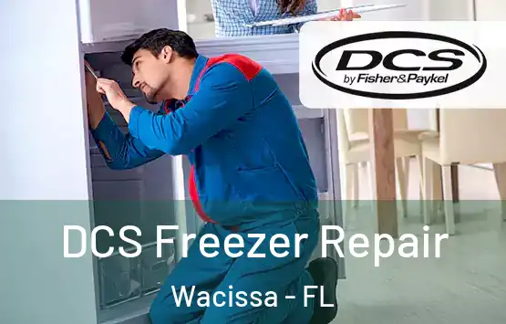  DCS Freezer Repair Wacissa - FL