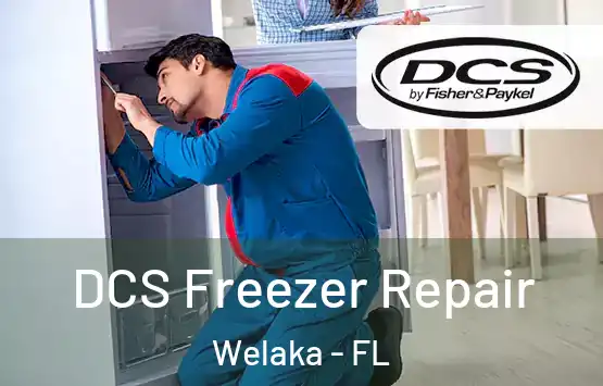  DCS Freezer Repair Welaka - FL