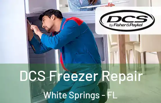  DCS Freezer Repair White Springs - FL