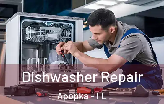  Dishwasher Repair Apopka - FL