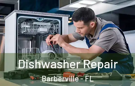  Dishwasher Repair Barberville - FL