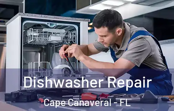  Dishwasher Repair Cape Canaveral - FL