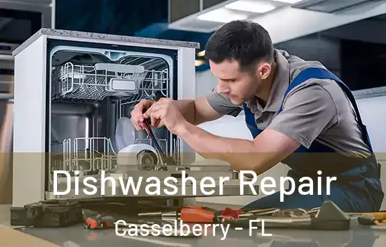  Dishwasher Repair Casselberry - FL